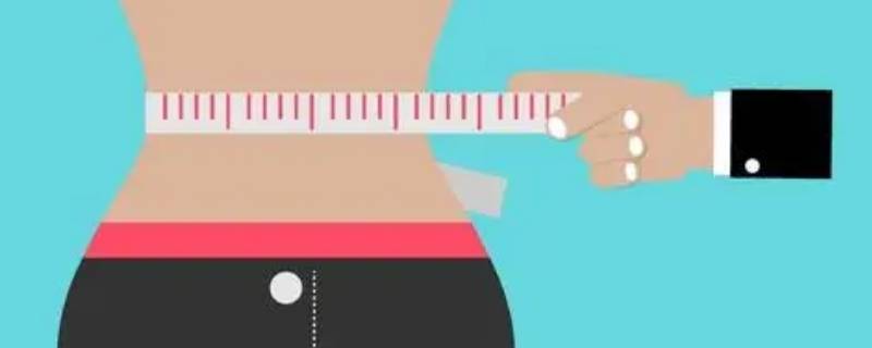 65厘米的腰围粗吗 65.5的腰围粗吗