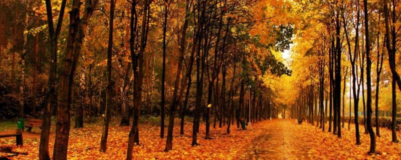 凉露惊秋是什么意思（清秋风露是什么意思）