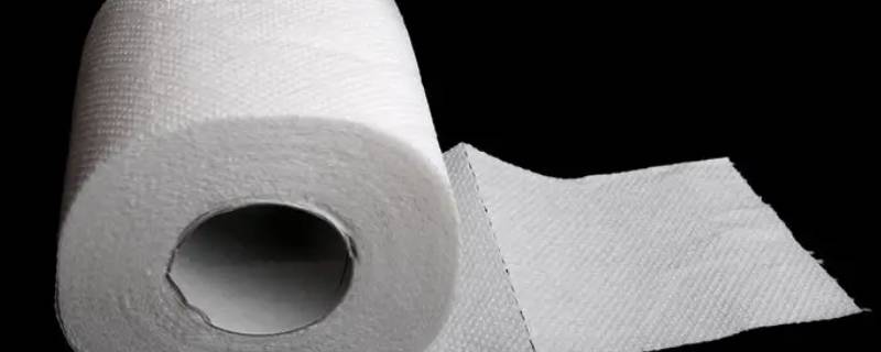 卫生纸原材料从哪里进 卫生纸的原料从哪进