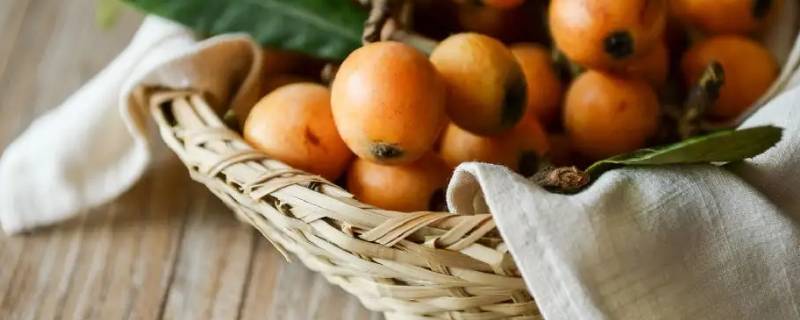 云霄枇杷之乡是哪里 福建枇杷之乡是哪里