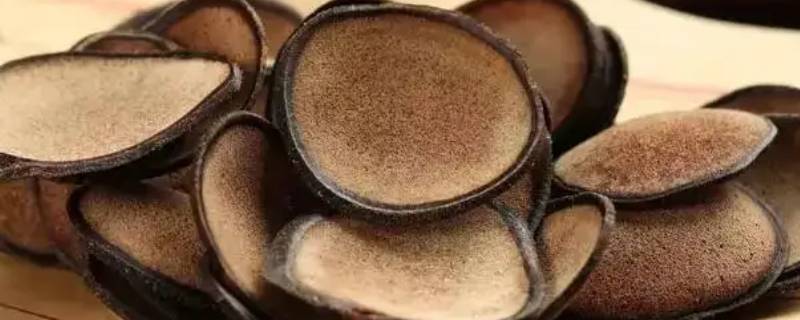 鹿茸一人一次炖多少片 鹿茸一人一次炖多少克