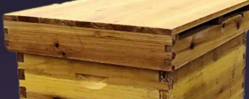 蜜蜂箱正规尺寸（蜜蜂箱正规尺寸图片）