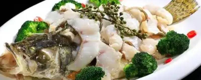 老虎斑鱼的做法窍门（老虎斑鱼怎样做好吃）