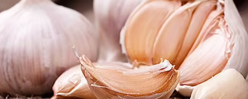 大蒜发霉切掉还能吃吗（大蒜发霉切掉还能吃吗图片）