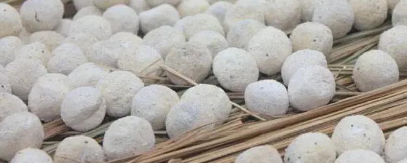 酒饼和酒曲的区别（酒饼和酒曲的区别在哪里）