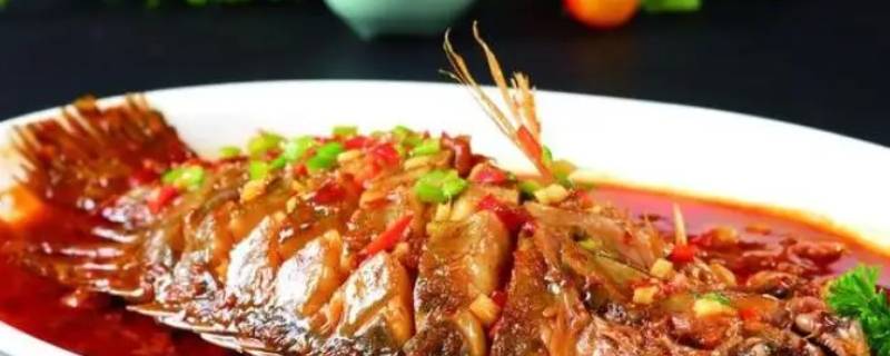 鳜鱼价格一斤多少钱 鲈鱼价格一斤多少钱