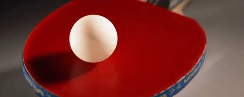 乒乓球运动员刘伟珊 乒乓球运动员刘伟珊简历