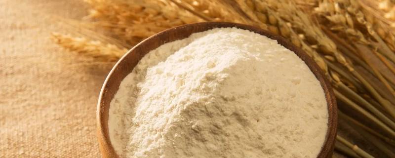 一斤麦子出多少面粉 一斤麦子能磨多少面
