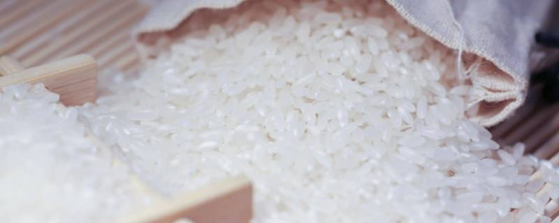 真空大米会长虫子吗（大米真空会生虫子吗）