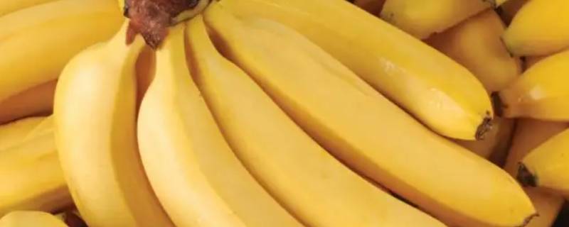 香蕉和水能一起吃吗 香蕉和水能一起吃吗宝宝