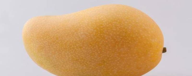 芒果和香椿能一起吃吗（芒果和香椿芽能一起吃吗）