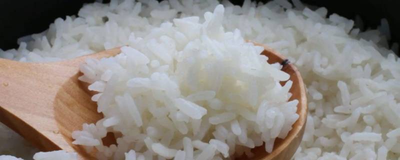 700大卡是多少食物（700卡的食物）