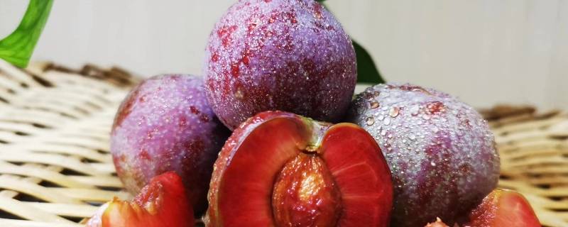 广西三华李腌制方法 广东三华李的腌制