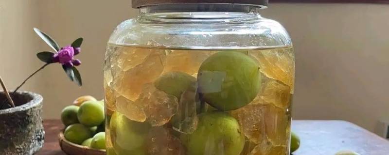 泡酸梅酒的比例 泡酸梅酒的比例怎么调