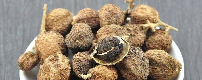 春砂仁煲汤放几颗好 春砂仁煲汤放几颗好