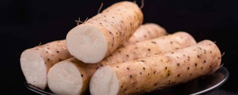 山药是主食吗（山药是主食吗还是蔬菜）