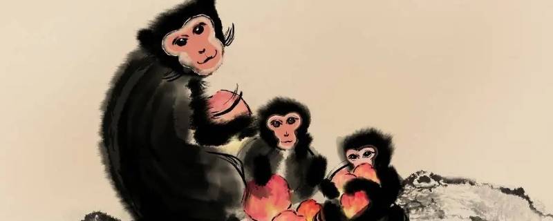 童心未泯打一动物（童心大发打一动物）