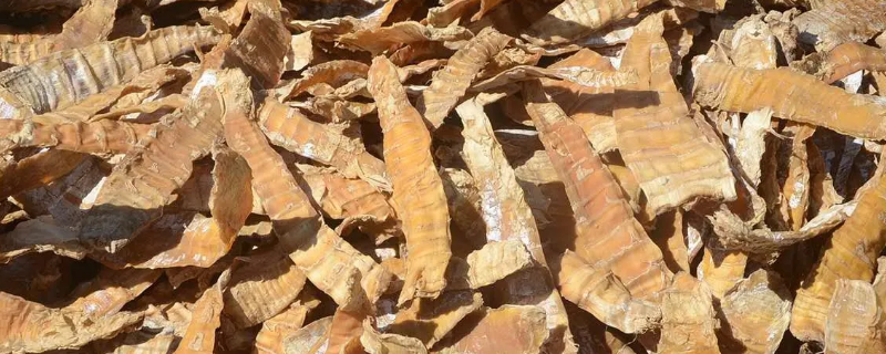 煮晒笋干的笋要放盐吗 煮晒笋干的笋要放盐吗怎么放