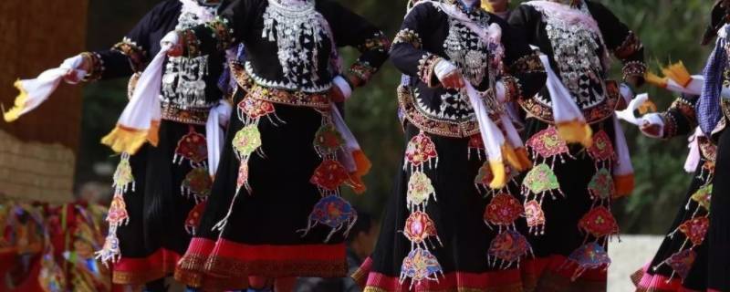 四大少数民族有哪些（四大少数民族是哪几个）