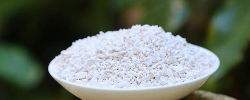 面粉加生粉和面效果 面粉能加生粉吗