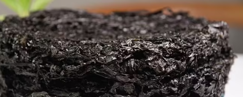 紫菜海藻类什么维生素含量最高（紫菜的维生素含量）