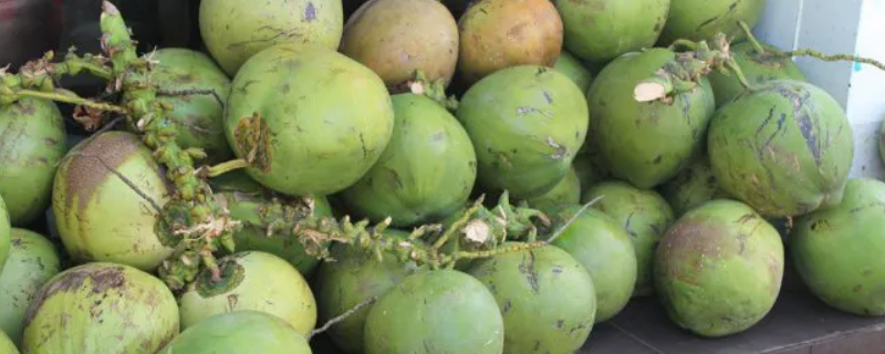 青椰子怎么打开 泰国青椰子怎么打开