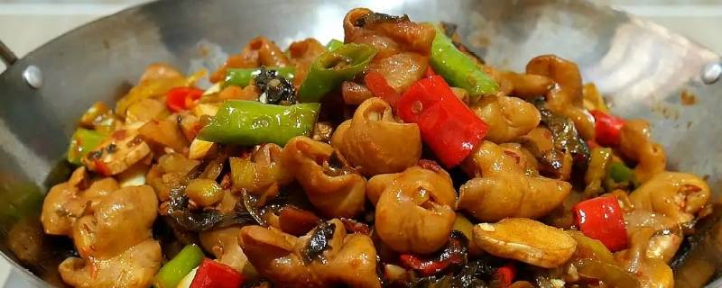 肥肠的做法 肥肠的做法大全家常菜四川