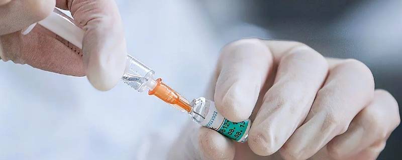 2价4价9价的年龄区别 2价,4价和9价的年龄区别