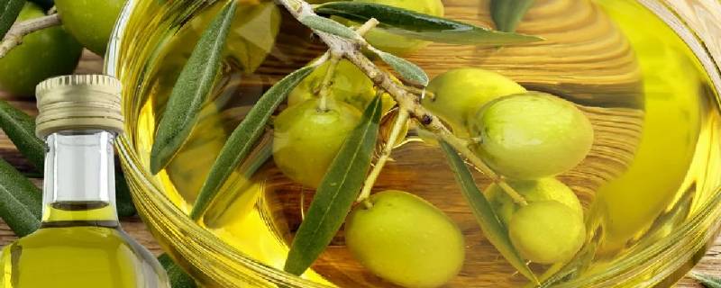 没开封的橄榄油过期了还能吃吗 没开封的橄榄油过期了还能吃吗?有什么危害