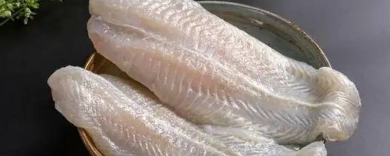 龙利鱼多少钱一斤市场价2022（龙利鱼价格多少钱一斤价格）