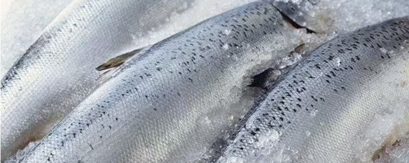 冰冻鱼怎么做好吃法（冰冻鱼怎么做好吃法酸莱）