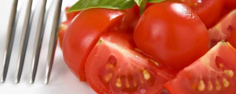 西红柿草酸含量高不高（西红柿草酸含量高不高呀）