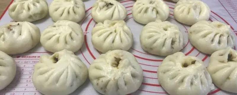 和面包包子的做法 和面包包子怎么做
