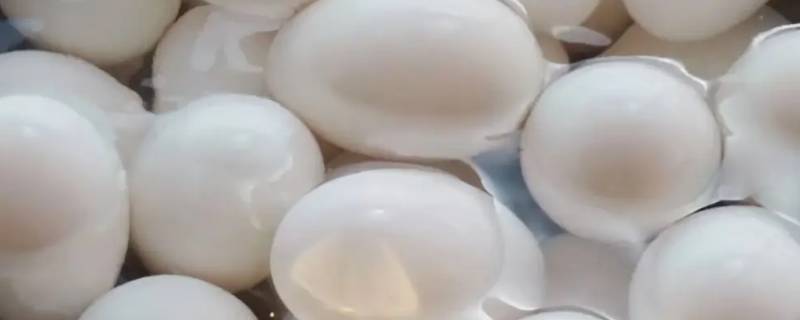 30个鹅蛋怎么腌（10个鹅蛋怎么腌）