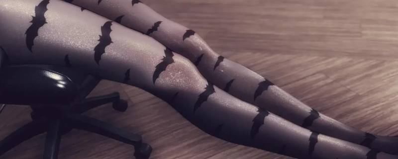 丝袜的种类 丝袜有哪些种类