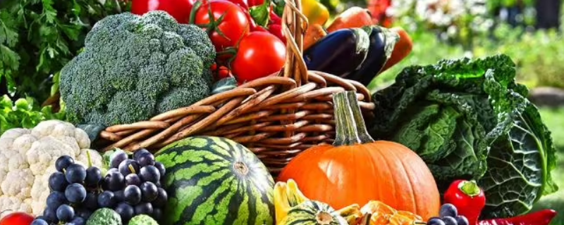 维生素的食物（维生素的食物来源）