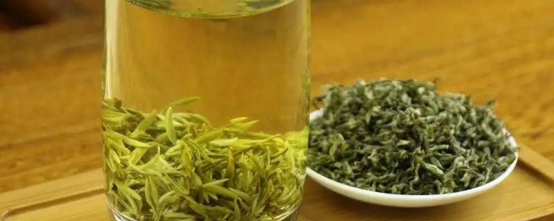 绿茶保质期（绿茶保质期18个月超过了可以喝吗）