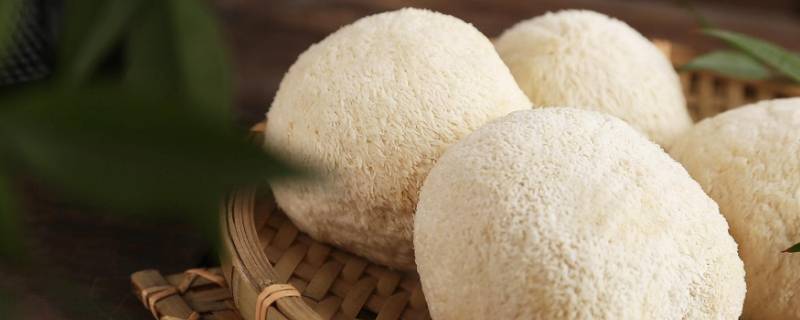 新鲜猴头菇怎么处理 新鲜猴头菇怎么处理不苦