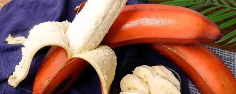 红香蕉怎样才算熟 红香蕉怎么看熟生