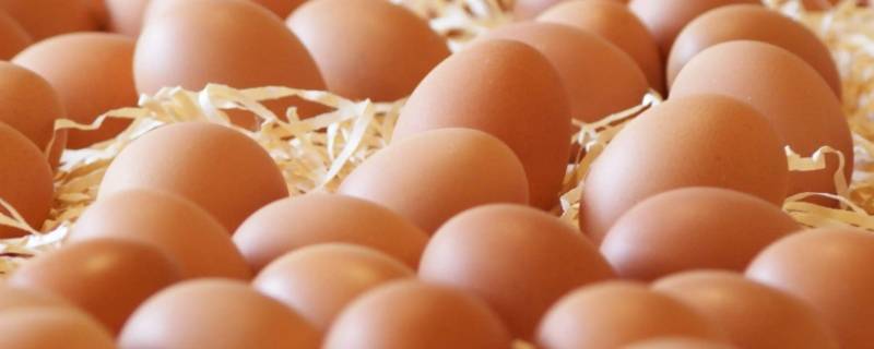 鸡蛋能在盐上立起来的原因是什么（为什么盐可以使鸡蛋立起来）