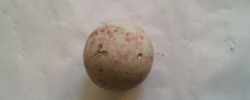 朗斯代尔陨石的特征（郎丝代尔陨石图片）