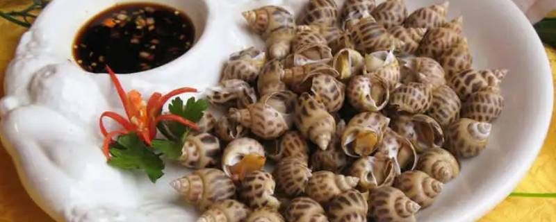 玉螺肉煮多长时间 玉螺煮多久肉质最好