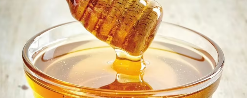 把蜂蜜取走蜜蜂不会饿死吗 蜜蜂会不会饿死掉