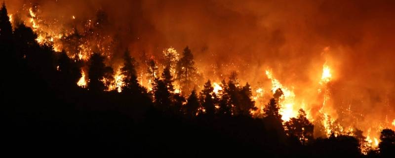 山火是怎么烧起来的 新田山火是怎么烧起来的