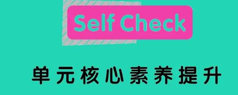 元素养提升 多元素养的培养