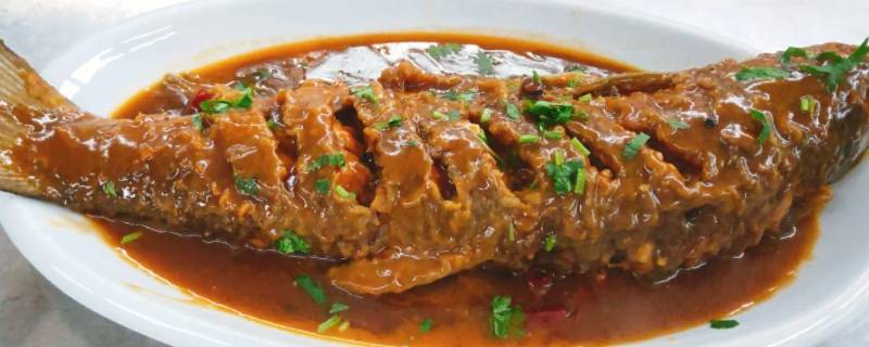 红烧草鱼窍门（红烧草鱼窍门是什么）