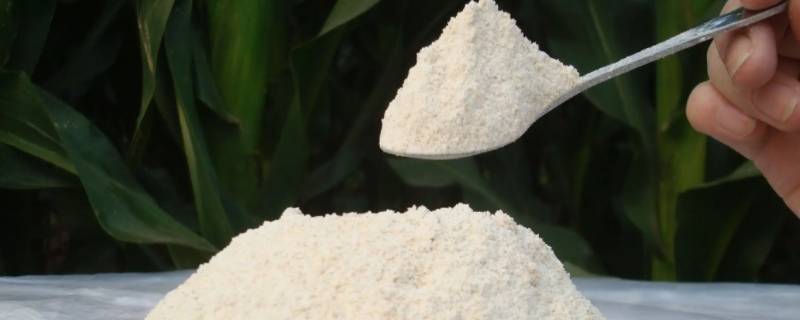 面粉毫升和克的换算（毫升面粉等于多少克）