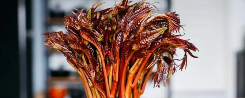 炸香椿用焯水吗 炸香椿用焯水吗?