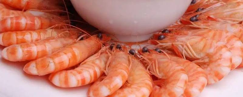 清蒸大虾的做法窍门（清蒸大虾家常做法窍门）