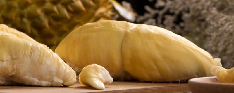 甲仑榴莲和猫山王的区别（甲仑榴莲和猫山王榴莲哪个好）